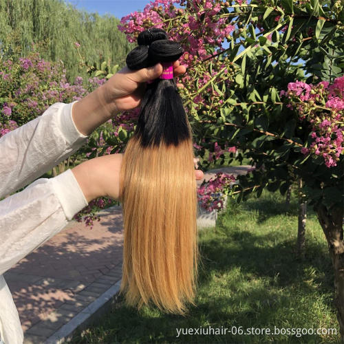 High Quality Double Drawn Brazilian Human Hair Bundles 1B 27 ombre colored Hair Extensions straight Bundles